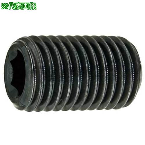 ■SUNCO HSヒラサキ 細目P1.0 10×10 (500本入)〔品番:A00050130100010000〕【2423846:0】[送料別途見積り][掲外取寄][店頭受取不可]