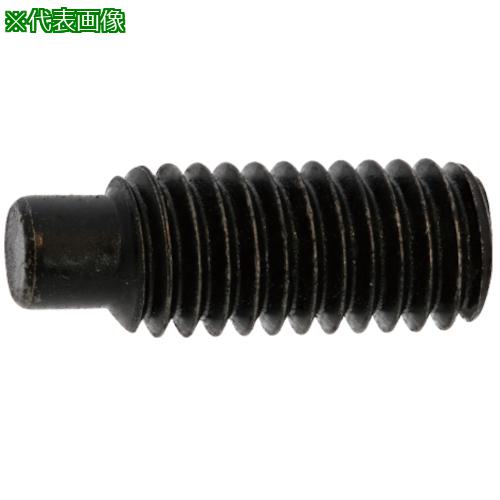 ■SUNCO HS(日産ネジ 棒先 4×5 (2000本入)〔品番:A000503N0040005000〕【2423909:0】[送料別途見積り][掲外取寄][店頭受取不可]