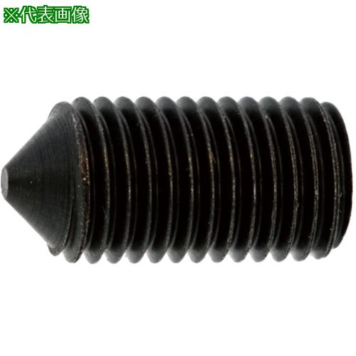 ■SUNCO HSトガリ先 細目P0.75 6&times;12 (500本入)〔品番:A00050240060012000〕【2423951:0】[送料別途見積り][掲外取寄][店頭受取不可]｜ホームセンターバロー　店