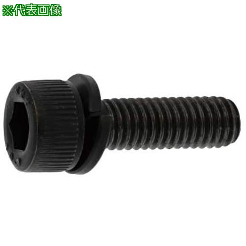 ■SUNCO クロメ-ト CAP-SW(カクマル 6 X 30 (200本入)〔品番:A000902K0060030002〕【2424558:0】[送料別途見積り][掲外取寄][店頭受取不可] 4,913円