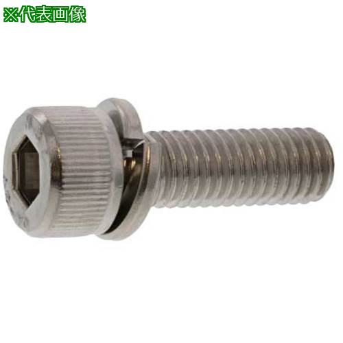 ■SUNCO ステンCAP P\u003d2 日本鋲螺製 10×40 (100本入)〔品番:A002902B0100040000〕【2428206:0】[送料別途見積り][掲外取寄][店頭受取不可]