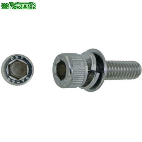 ■SUNCO ステンCAP P=3 興津螺旋製 4&times;10 (1000本入)〔品番:A002903V0040010000〕【2428209:0】[送料別途見積り][掲外取寄][店頭受取不可]｜ホームセンターバロー　店
