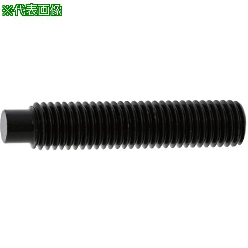 ■SUNCO HS(TKS(棒先 12&times;16 (200本入)〔品番:A000503T0120016000〕【2428612:0】[送料別途見積り][掲外取寄][店頭受取不可]｜ホームセンターバロー　店