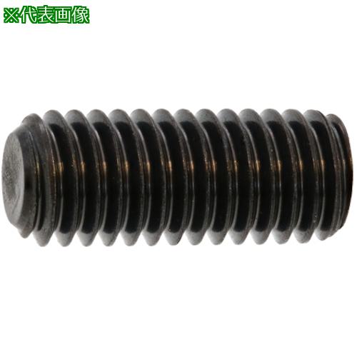 ■SUNCO 三価ブラック HS(ナガイ 平先 2.5×6 (1000本入)〔品番:A000501M0025006004〕【2431743:0】[送料別途見積り][掲外取寄][店頭受取不可]