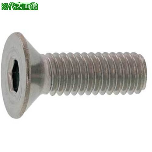 ■SUNCO SUSサラCAP 日産ネジ DIN規格 10&times;16 (200本入)〔品番:A002200N0100016000〕【2432679:0】[送料別途見積り][掲外取寄][店頭受取不可]｜ホームセンターバロー　店