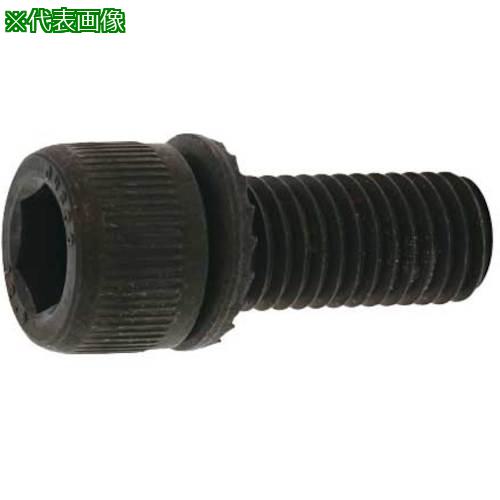 ■SUNCO GT-CAP(SA) 5 X 35 (500本入)〔品番:A000GTSA0050035000〕【2434792:0】[送料別途見積り][掲外取寄][店頭受取不可]｜ホームセンターバロー　店
