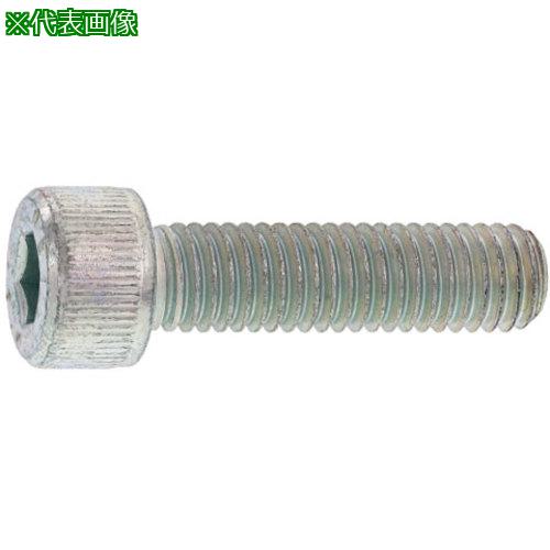 ■SUNCO ステンCAP 日本鋲螺 8 X 60 (100本入)〔品番:A002000B0080060000〕【2435321:0】[送料別途見積り][掲外取寄][店頭受取不可]
