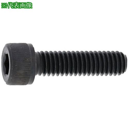 ■SUNCO ステンCAP(ウィット 3/8 X 55 (50本入)〔品番:A00200028030055000〕【2435366:0】[送料別途見積り][掲外取寄][店頭受取不可]