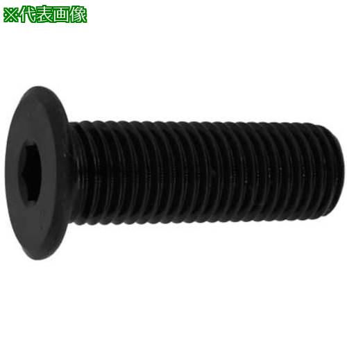 ■SUNCO 極薄ローヘッド 細目P-1.25 10&times;45P1.25 (80本入)〔品番:A000L3040100045000〕【2435930:0】[送料別途見積り][掲外取寄][店頭受取不可]｜ホームセンターバロー　店