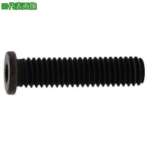 ■SUNCO 小頭NSローヘッド 3×6 (1000本入)〔品番:A000L3500030006000〕【2436354:0】[送料別途見積り][掲外取寄][店頭受取不可]