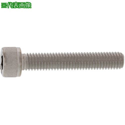 ■SUNCO ステンCAP(日産ネジ 全ネジ 12&times;60&times;60 (50本入)〔品番:A002001N0120060000〕【2437256:0】[送料別途見積り][掲外取寄][店頭受取不可]｜ホームセンターバロー　店