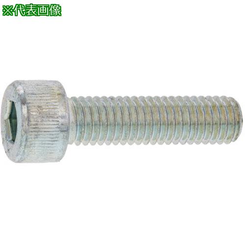 ■SUNCO ユニクロ CAP(日本ファスナー 6 × 75 (100本入)〔品番:A000000F0060075001〕【2473296:0】[送料別途見積り][掲外取寄][店頭受取不可]