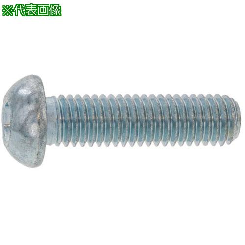■SUNCO クローム ボタンCAP(TKS 3×5 (1000本入)〔品番:A000100T0030005006〕【2473838:0】[送料別途見積り][掲外取寄][店頭受取不可]
