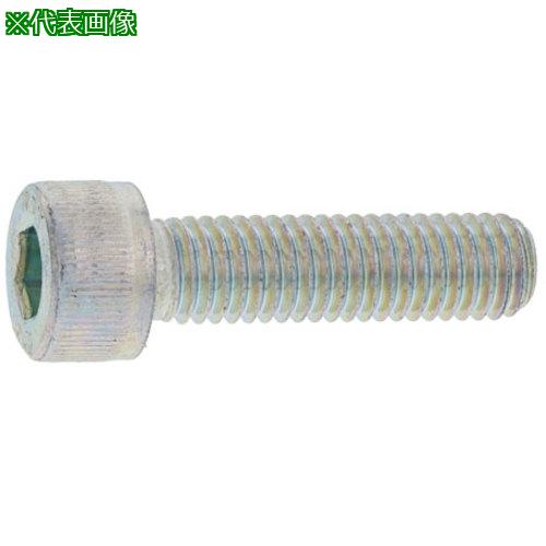 ■SUNCO CAP(日産ネジ 12×80 (40本入)〔品番:A000000N0120080000〕【2474938:0】[送料別途見積り][掲外取寄][店頭受取不可]