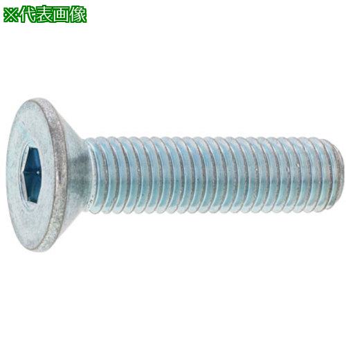 ■SUNCO 三価ホワイト 皿CAP(日本鋲螺 20×80 (12本入)〔品番:A000200B0200080003〕【2475580:0】[送料別途見積り][掲外取寄][店頭受取不可]