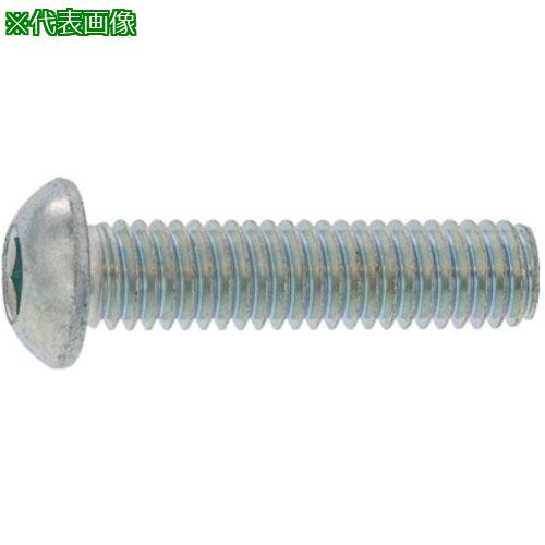 ■SUNCO 三価ブラック ボタンCAP(日産ネジ JIS B1174 16×55 (30本入)〔品番:A000100N0160055004〕【2480154:0】[送料別途見積り][掲外取寄][店頭受取不可]
