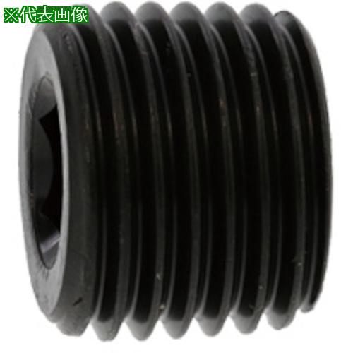 ■SUNCO 黒染 阪村 プラグ(沈み SP2 R1/8-28 (700本入)〔品番:A000561L8010000000〕【2482017:0】[送料別途見積り][掲外取寄][店頭受取不可] 12,118円