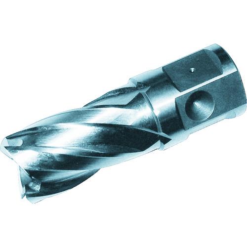 ■大見 25SQハイスカッター 刃径15.0mm〔品番:HCSQ150〕【2483181:0】[店頭受取不可]｜ホームセンターバロー　店