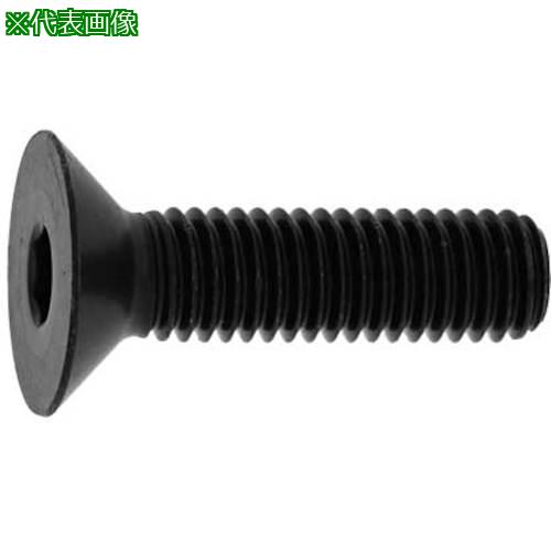 ■SUNCO クローム サラCAP(日産ネジ JIS 4&times;25 (1000本入)〔品番:A00020JN0040025006〕【2483465:0】[送料別途見積り][掲外取寄][店頭受取不可]｜ホームセンターバロー　店