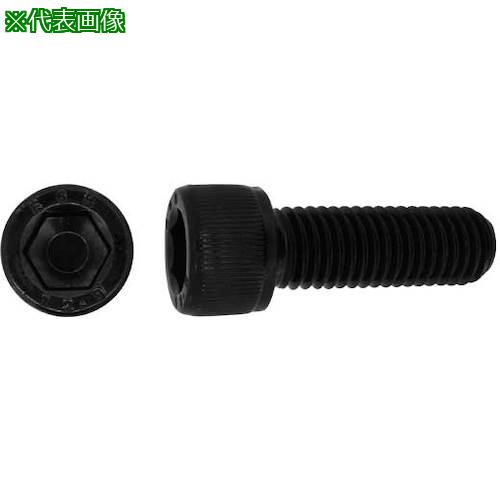 ■SUNCO CAP EGM 16 &times; 280 (20本入)〔品番:A000000E0160280000〕【2484734:0】[送料別途見積り][掲外取寄][店頭受取不可]｜ホームセンターバロー　店