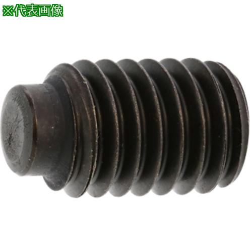 ■SUNCO HS(UNC(棒先 3/8-16X3/4 (100本入)〔品番:A00051338030806000〕【2485173:0】[送料別途見積り][掲外取寄][店頭受取不可]｜ホームセンターバロー　店