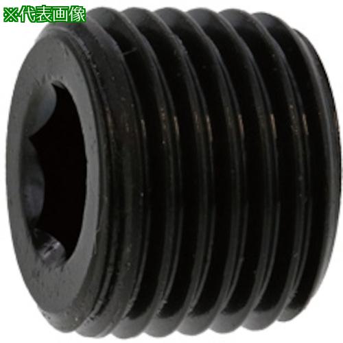 ■SUNCO プラグ(沈み(日星 PP4 PP4 1/8 (500本入)〔品番:A000571C8010000000〕【2485180:0】[送料別途見積り][掲外取寄][店頭受取不可]｜ホームセンターバロー　店