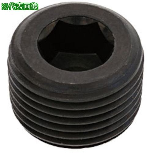 ■SUNCO プラグ(浮き(日星 PP3 PP3 3/4 (50本入)〔品番:A000570C8060000000〕【2486753:0】[送料別途見積り][掲外取寄][店頭受取不可]