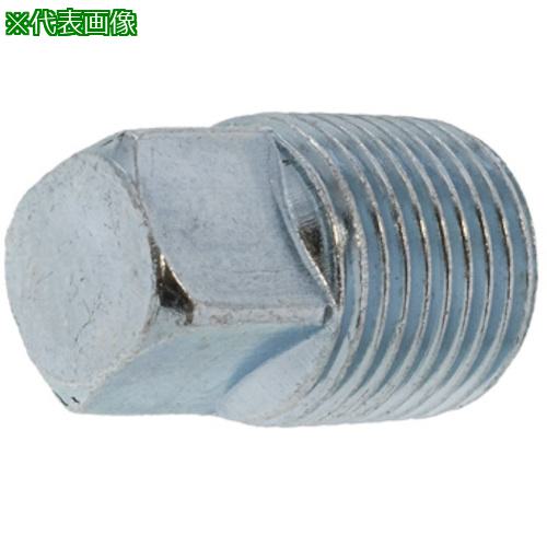 ■SUNCO 生地 阪村 プラグ(四角頭 R1/2-14 (125本入)〔品番:A00056208040000000〕【2489747:0】[送料別途見積り][掲外取寄][店頭受取不可]｜ホームセンターバロー　店