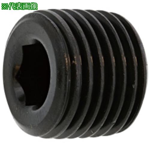 ■SUNCO 三価ホワイト プラグA(浮き PT 1/4 (400本入)〔品番:A00057008020000003〕【2489807:0】[送料別途見積り][掲外取寄][店頭受取不可]