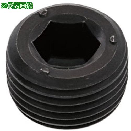 ■SUNCO プラグ(沈みNPTF DB 1/4 (400本入)〔品番:A00057408020000000〕【2491391:0】[送料別途見積り][掲外取寄][店頭受取不可]｜ホームセンターバロー　店