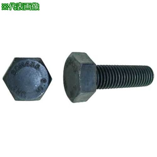 ■SUNCO 10.9 六角ボルト 全ネジ 1/2X65 (40本入)〔品番:B00004528040065000〕【2528840:0】[送料別途見積り][掲外取寄][店頭受取不可]