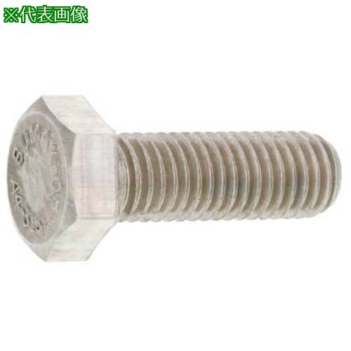 ■SUNCO SUS8.8 六角ボルト 全ネジ(BUMAX 20X45(ゼン (10本入)〔品番:B012M3000200045000〕【2532567:0】[送料別途見積り][掲外取寄][店頭受取不可]