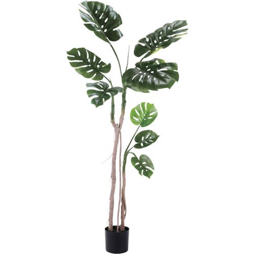 ■リレヤ イミテーショングリーン 観葉植物(人工植物) WD-04〔品番:WD04〕【2539190:0】[送料別途見積り][法人・事業所限定][外直送][店頭受取不可] 22,638円