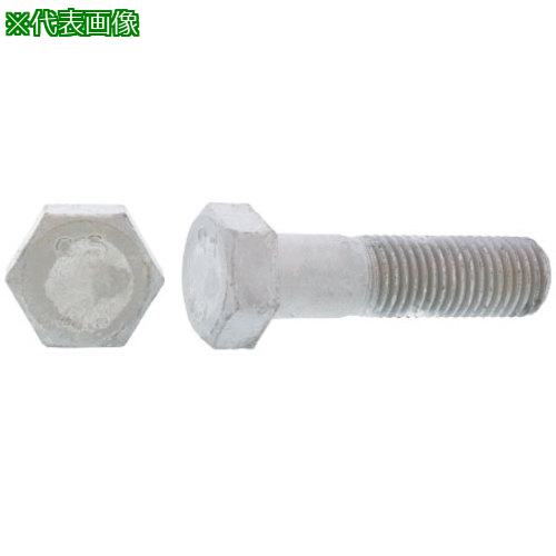 ■SUNCO SUS316L 六角ボルト(輸入品 10X65(ハン (60本入)〔品番:B012U0100100065000〕【2542148:0】[送料別途見積り][掲外取寄][店頭受取不可]