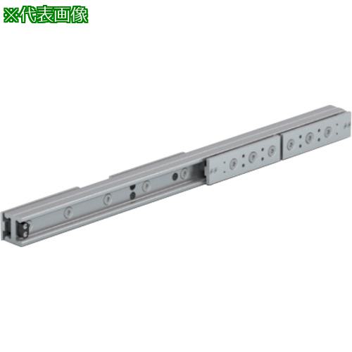■SUGATSUNE (190047575)SG-TLQ28G-1010重量用ローラースライドレール/ROLLON(ローロン)〔品番:SGTLQ28G1010〕【2560061:0】[送料別途見積り][掲外取寄][店頭受取不可]