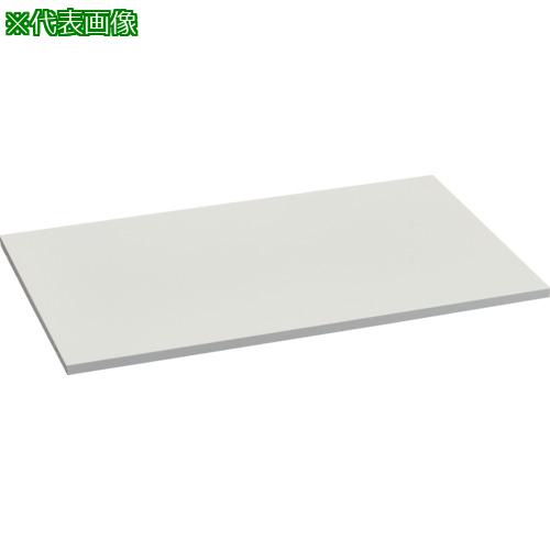 ■TRUSCO FS型工場用保管庫 ケント式扉下置き用追加棚板 W747XD588XH20mm〔品番:FSBT〕【2581209:0】[送料別途見積り][法人・事業所限定][直送][店頭受取不可]