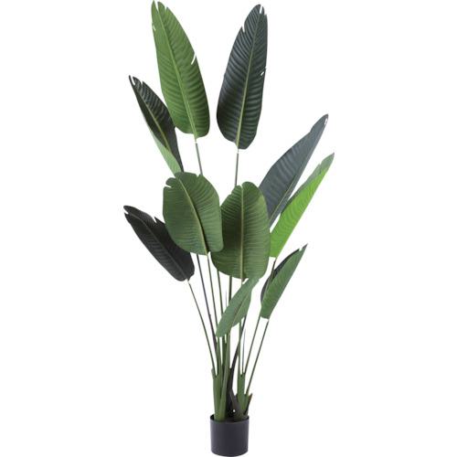 ■リレヤ 人工観葉植物 ストレリチア WD-07〔品番:WD07〕【2615560:0】[送料別途見積り][法人・事業所限定][直送][店頭受取不可] 22,966円