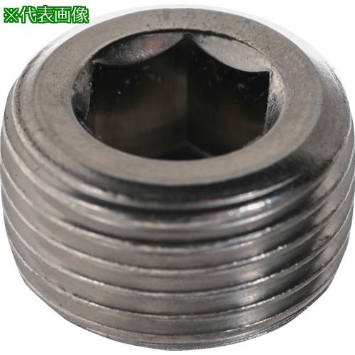 ■TRUSCO テーパープラグ 沈み ステンレス PT1/4 80本入 ヘキサゴンパック〔品番:S0800114〕【2624607:0】[送料別途見積り][法人・事業所限定][店頭受取不可]