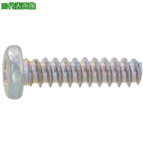 ■SUNCO ニッケル #0-3(+)Bタイナベ 1.6&times;3.0 (10000本入)〔品番:4000B3000016003005〕【2630585:0】[送料別途見積り][掲外取寄][店頭受取不可]｜ホームセンターバロー　店