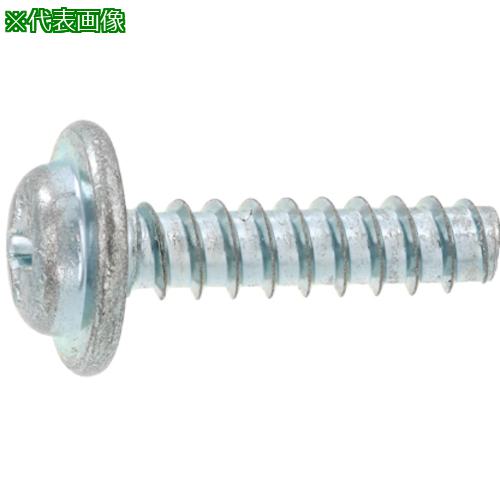 ■SUNCO クロメ-ト SPザツキ Bタイプ 3×6 (3000本入)〔品番:3000SPB00030006002〕【2635123:0】[送料別途見積り][掲外取寄][店頭受取不可]