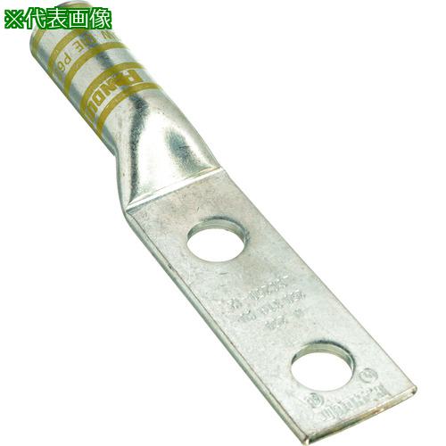 ■PANDUIT 銅製圧縮端子 2穴 電線サイズ 250 kcmil 取付穴サイズ 104mm 取付穴間隔 254mm LCC250-38DW-X〔品番:LCC25038DWX〕【2668529:0】[送料別途見積り][掲外取寄][店頭受取不可]