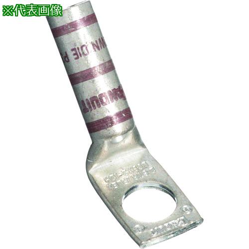 ■PANDUIT 銅製圧縮端子 1穴 電線サイズ 450 kcmil 取付穴サイズ 104mm LCBX450-38-6〔品番:LCBX450386〕【2678023:0】[送料別途見積り][法人・事業所限定][掲外取寄][店頭受取不可]｜ホームセンターバロー　店