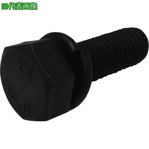 ■コノエ 10.9六角トリーマ組込P-2 黒色酸化被膜 6x25 300本入〔品番:BTP2109625300P〕【2705000:0】[送料別途見積り][掲外取寄][店頭受取不可]