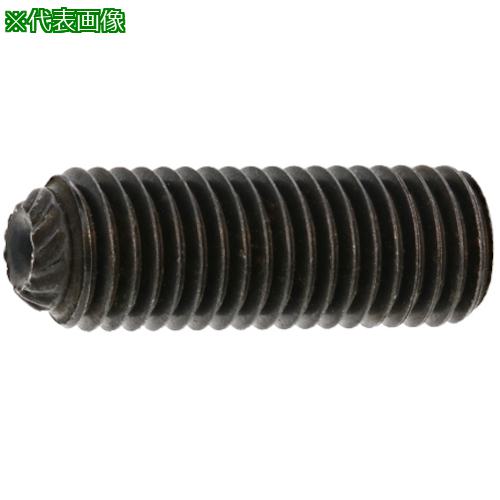 ■SUNCO HS(UNF(ギザ先 アンブラコ 5/16X5/16 (100本入)〔品番:A000554P8025802500〕【2709548:0】[送料別途見積り][掲外取寄][店頭受取不可] 9,636円