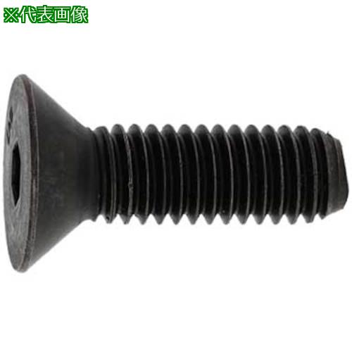 ■SUNCO サラCAP(UNC アンブラコ 1/4-20X5/8 (100本入)〔品番:A000203P8020805000〕【2712769:0】[送料別途見積り][掲外取寄][店頭受取不可]｜ホームセンターバロー　店
