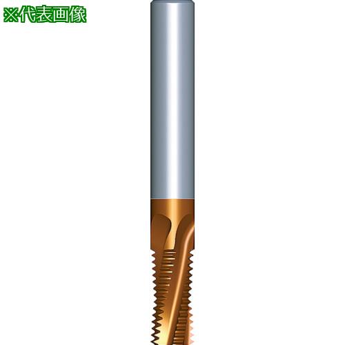 超ワイドモンキレンチ×北斗の拳|最強二人三脚がここに具体化！ 花・ガーデン・DIY-穴あけ工具用アクセサリー