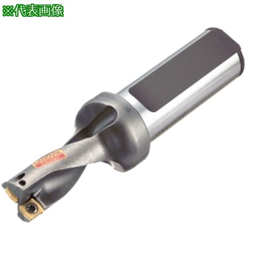 ■SANDVIK コロドリル881 刃先交換式ドリル22.225 (465)〔品番:A881D0875LX2502〕【3131048:0】[送料別途見積り][法人・事業所限定][掲外取寄][店頭受取不可]