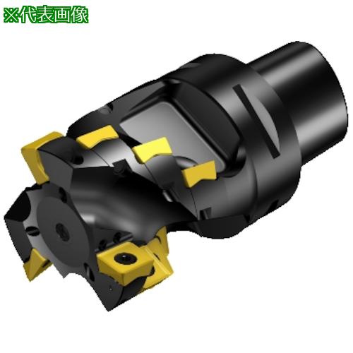 超ワイドモンキレンチ×北斗の拳|最強共同研究がここに現実化！ 花・ガーデン・DIY-DIY・工具