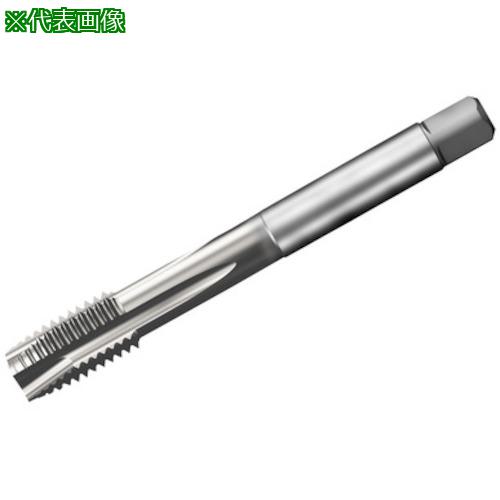 ■SANDVIK コロタップ200 ポイントタップ(781) B150〔品番:T200XM101DAM20〕【3132774:0】[送料別途見積り][掲外取寄][店頭受取不可]