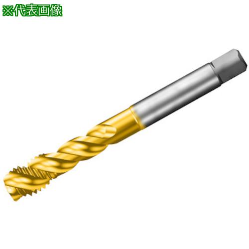 ■SANDVIK コロタップ300 スパイラルタップ(780) D125〔品番:T300SD101DAM12〕【3132782:0】[送料別途見積り][掲外取寄][店頭受取不可]
